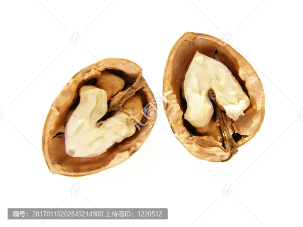 核桃殼和堅(jiān)果