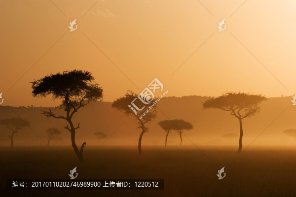 在馬賽瑪拉日落