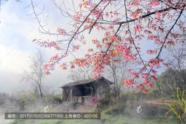 臨滄,風光