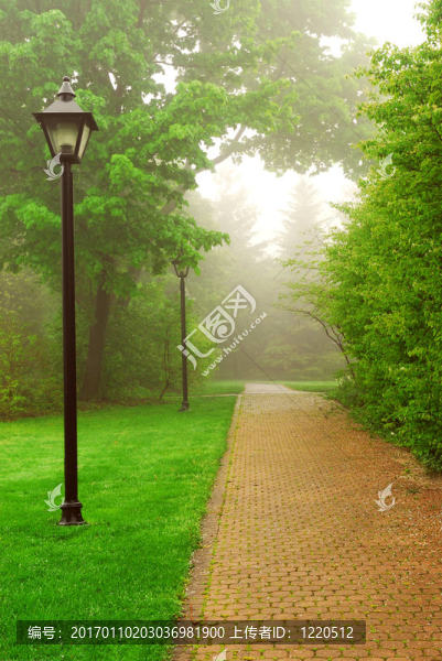 霧蒙蒙的公園