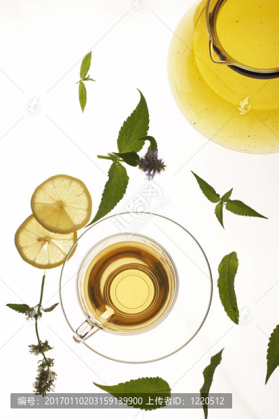 草藥茶
