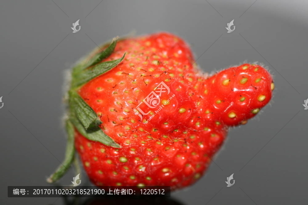 草莓的臉