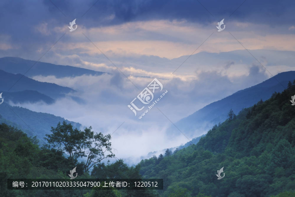 新發(fā)現(xiàn)的差距