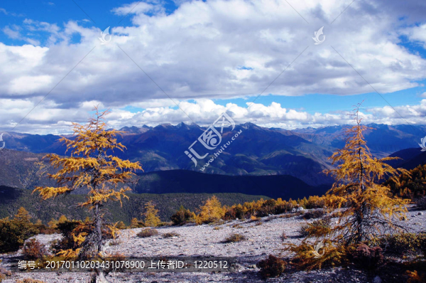 秋天-匯圖網(wǎng) www.fosd68.com 秋天