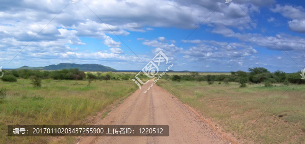 在深入非洲草原孤獨的道路軌跡；塞倫蓋蒂公園；坦桑尼亞；全景