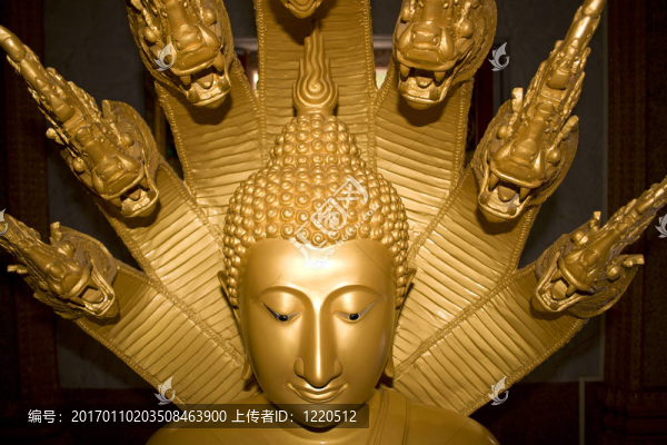 如來(lái)佛祖的臉