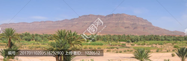 一個堡壘山沙漠綠洲；Zagora；德拉谷；摩洛哥；全景