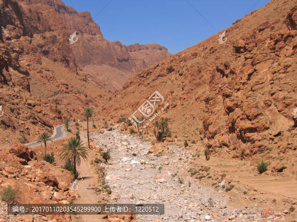 摩洛哥山干一些罕見的棕櫚樹；Todra,gorges；摩洛哥