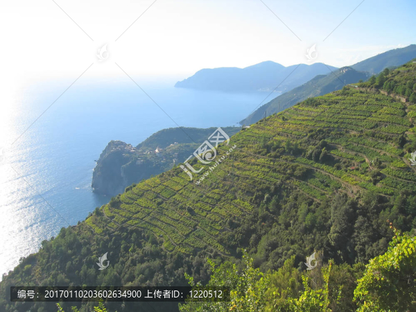 科尼里亞意大利典型村與周圍的山崖城鄉(xiāng)山；五漁村；Italia