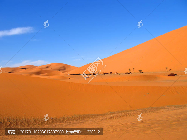 紅褐色的沙丘；Erg,Chebbi；梅爾祖卡；摩洛哥