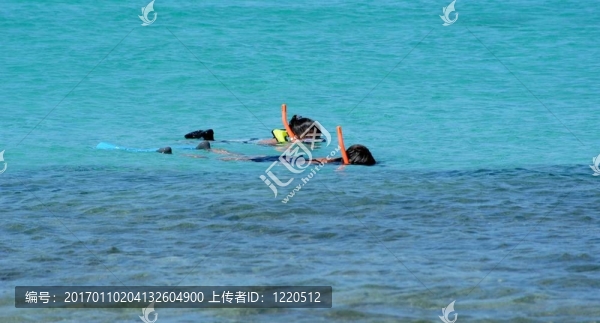 水浮潛