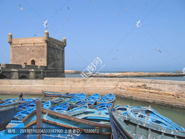 海鷗在海港和前景與藍船的城市大廈；索維拉；摩洛哥
