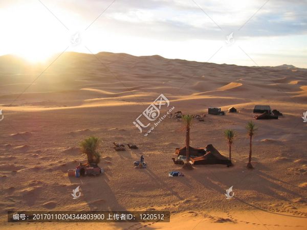 在帳篷營地休息的駱駝上沙丘的日落；Erg,Chebbi；梅爾祖卡；摩洛哥