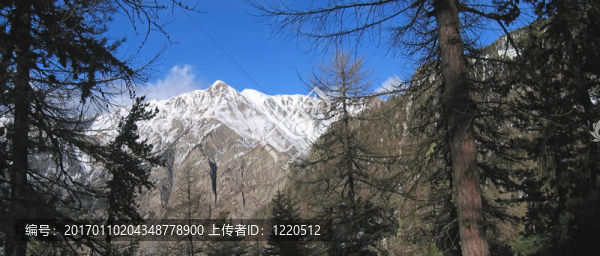 高山和森林；Les,Orres阿爾卑斯山脈；法國；全景圖；