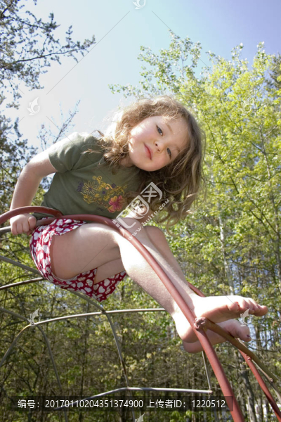 叢林健身房的樂(lè)趣-匯圖網(wǎng) www.fosd68.com 叢林健身房的樂(lè)趣