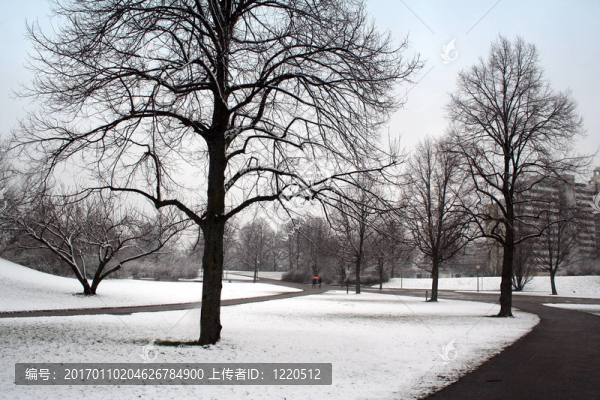 公園里的雪