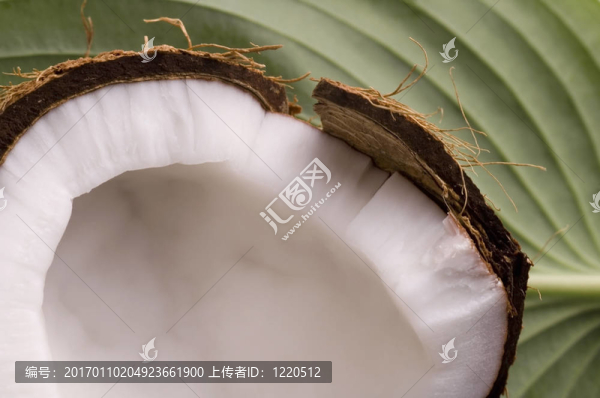 打開椰子和綠葉。異國情調的