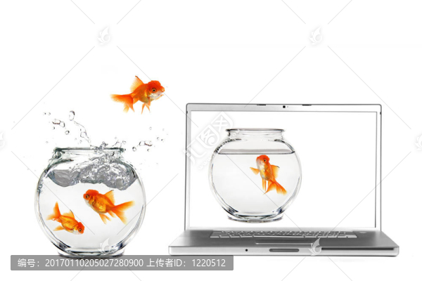 進(jìn)入虛擬世界