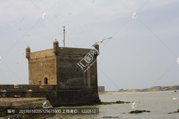 港口；船；天空；碼頭；鳥類；云