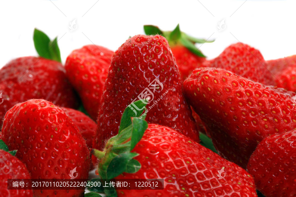 漿果