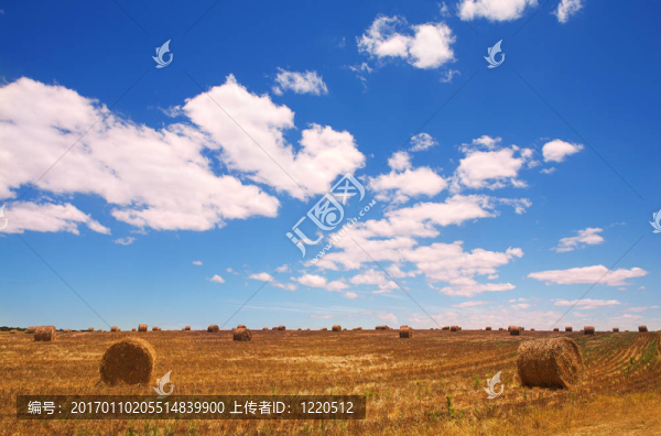 干草的土地上金色的包-匯圖網(wǎng) www.fosd68.com 干草的土地上金色的包