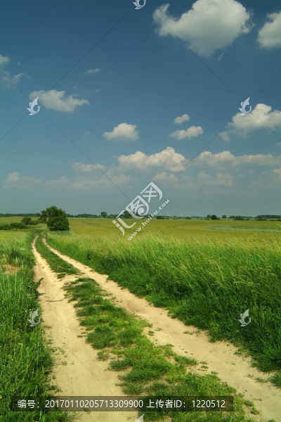 麥田路徑-匯圖網(wǎng) www.fosd68.com 麥田路徑