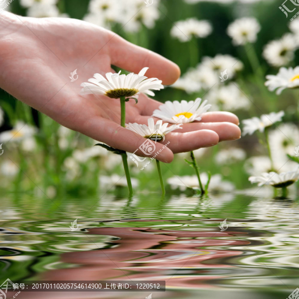 花