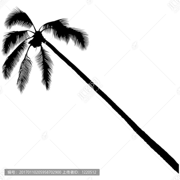 棕櫚樹剪影3