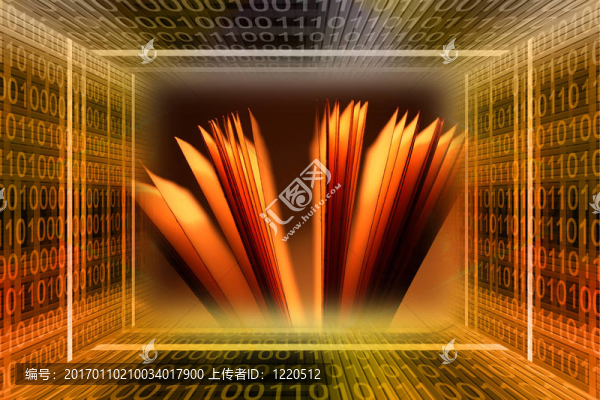 二進(jìn)制代碼的隧道