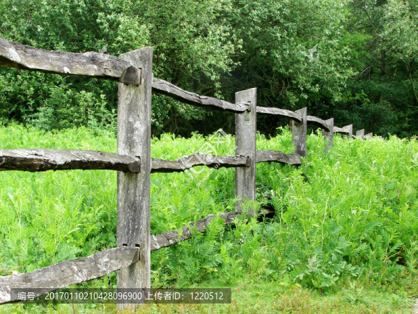 質(zhì)樸的柵欄