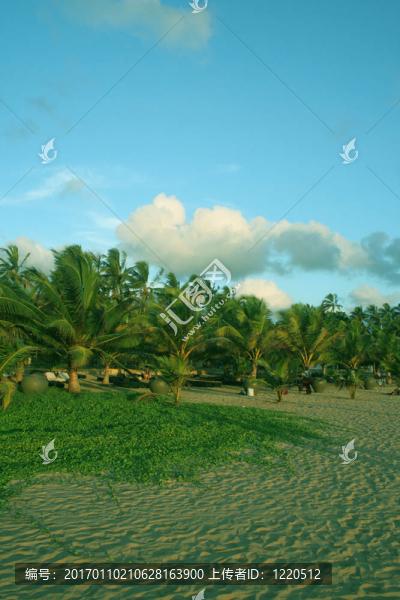 海灘-匯圖網(wǎng) www.fosd68.com 海灘