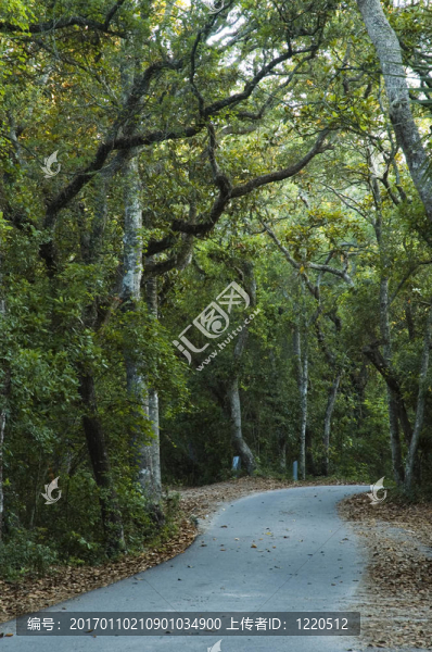 營地的路