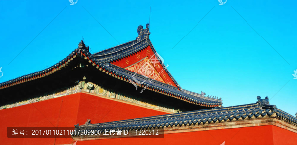屋頂