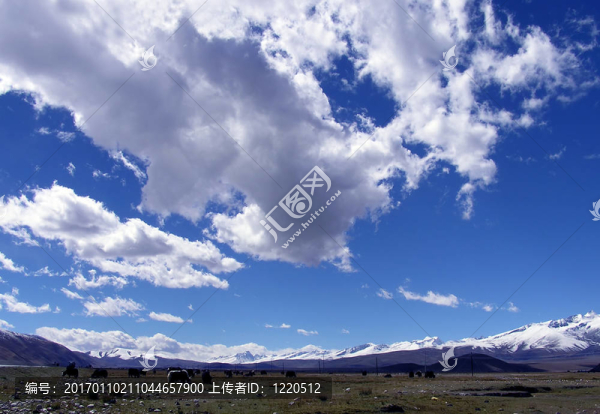 草原-匯圖網(wǎng) www.fosd68.com 草原