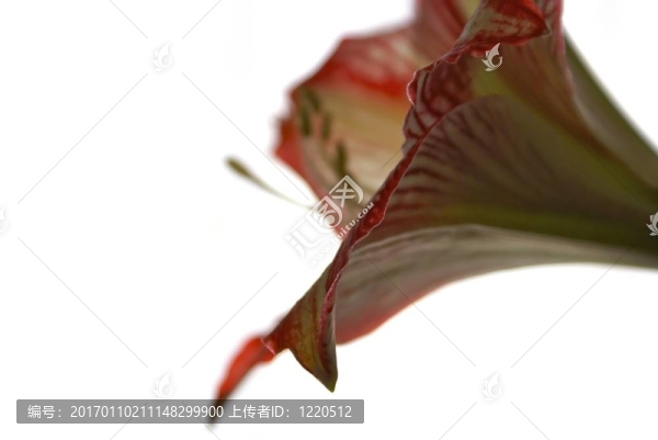 紅色的性質(zhì)1