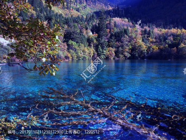 天堂-匯圖網(wǎng) www.fosd68.com 天堂