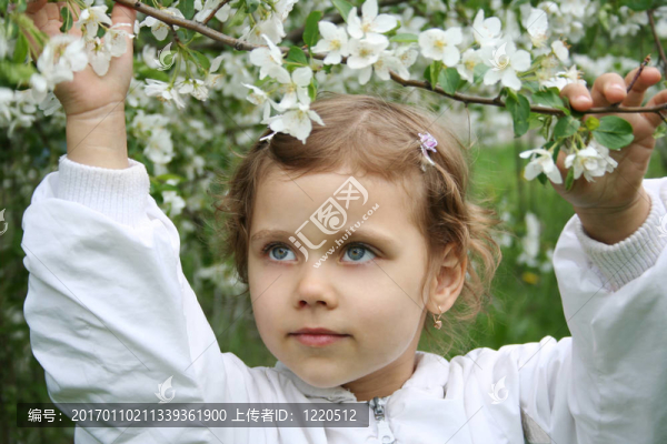 小女孩和一朵盛開的櫻桃