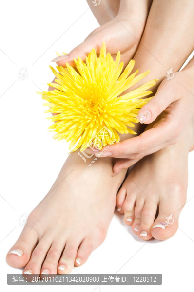 女人的腳和手