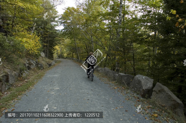 在馬車道上騎自行車