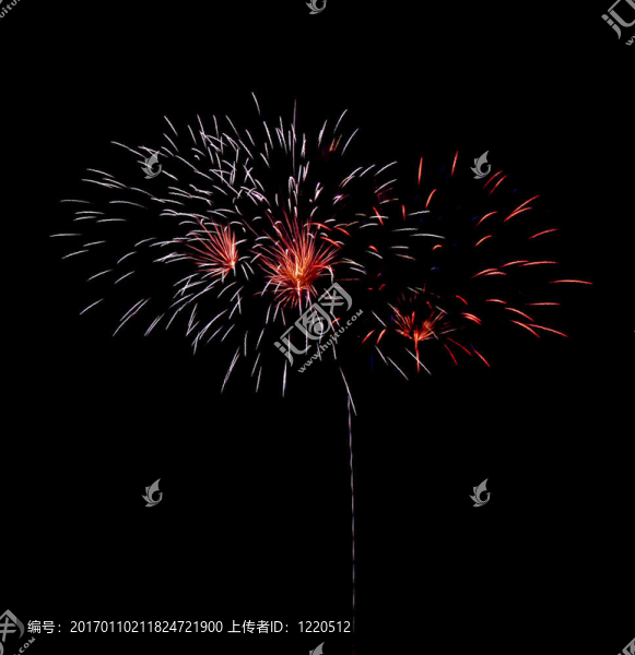 煙花藝術(shù)