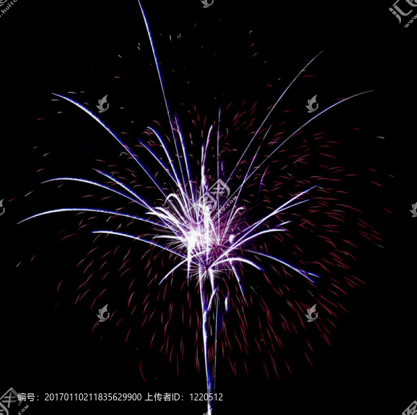 煙花藝術(shù)
