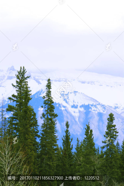 山地景觀