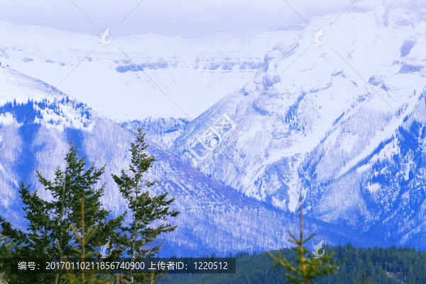 山地景觀