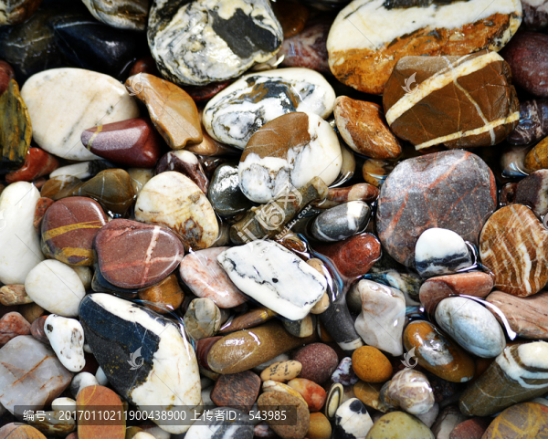 小石頭-匯圖網(wǎng) www.fosd68.com 小石頭