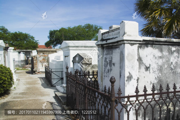 圣路易斯墓地1