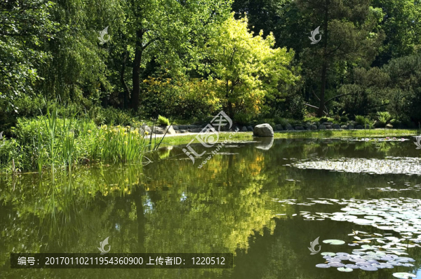 夏天的風(fēng)景。湖