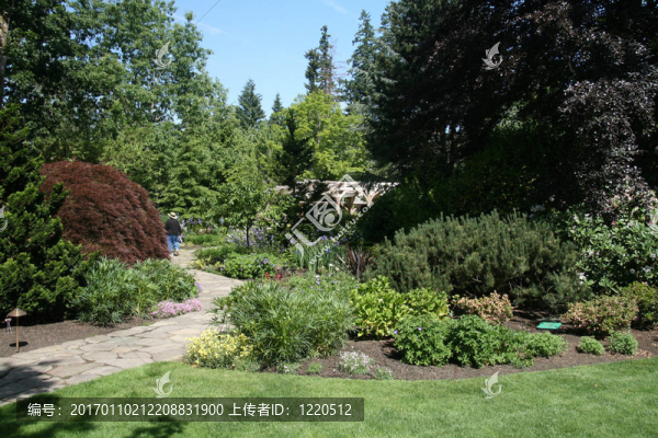 通往花園