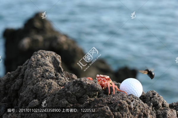 夏威夷的高爾夫球手