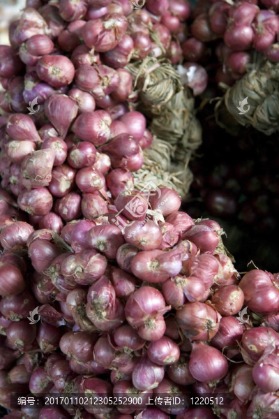 把洋蔥-匯圖網(wǎng) www.fosd68.com 把洋蔥