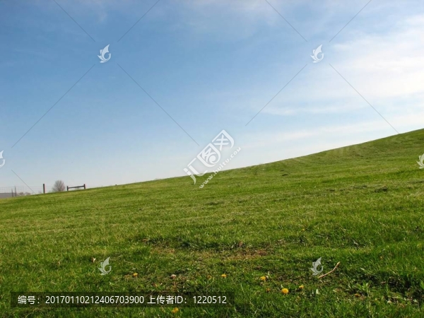 草地的一個(gè)領(lǐng)域-匯圖網(wǎng) www.fosd68.com 草地的一個(gè)領(lǐng)域